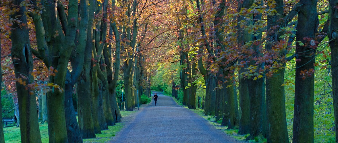 berlin-stadtpark-steglitz-allee
