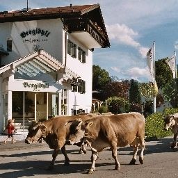 Bergidyll (Oberstdorf)