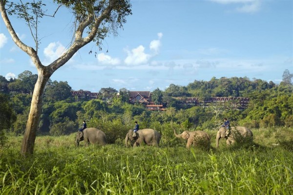 Hotel Anantara Golden Triangle Elephant Camp & Resort (Chiang Saen)