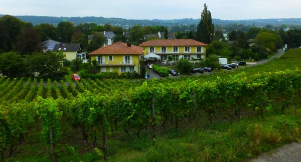 Haus Drachenloch Weinhotel (Bad Honnef)