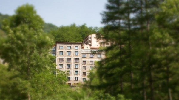 Logis Hotel Le Val du Tech (Prats-de-Mollo-la-Preste)