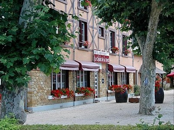 Hotel Chalet de la Forêt Logis (Vierzon)