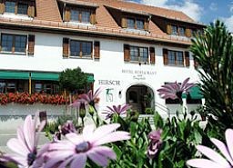 Romantik Hotel Hirsch Hotel & Restaurant (Sonnenbühl)