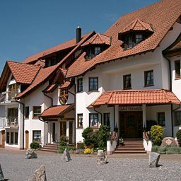 Hotel Hirsch *** superior (Berghaupten)