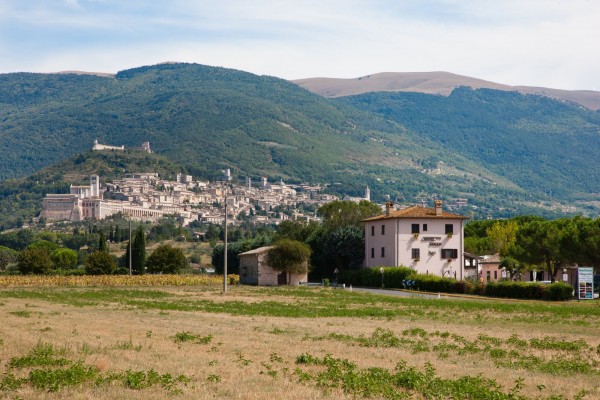 Green Assisi