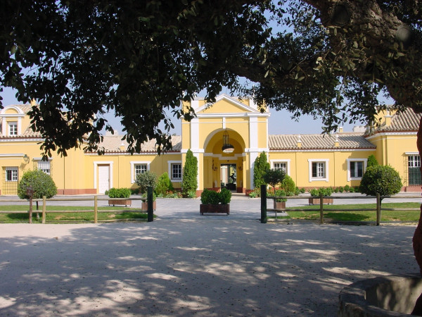 Hacienda Montenmedio Golf & Country Club (Vejer de la Frontera)