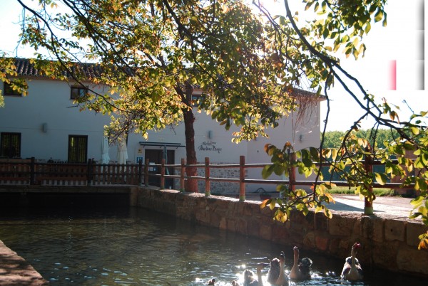 Hotel Molino Bajo (Monreal del Campo)