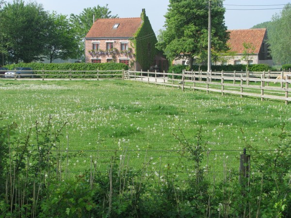 Le Plat Pays (Oostkamp)