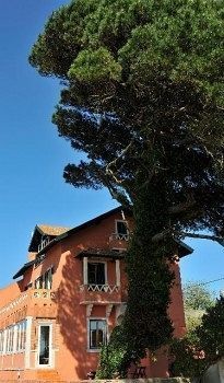 She Pine Tree House - Guest House (Sintra)
