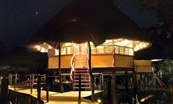 Hotel Cotton Tree Lodge (Punta Gorda)