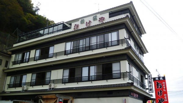Hotel (RYOKAN) Hatago Okeya (Echizen-cho)