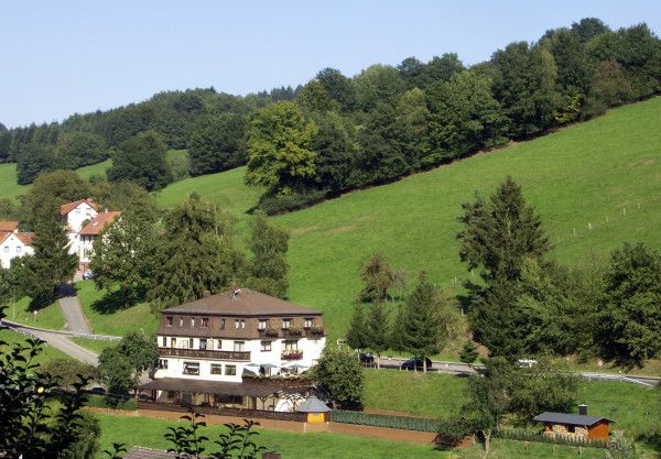Grüner Baum Landgasthof (Beerfelden)