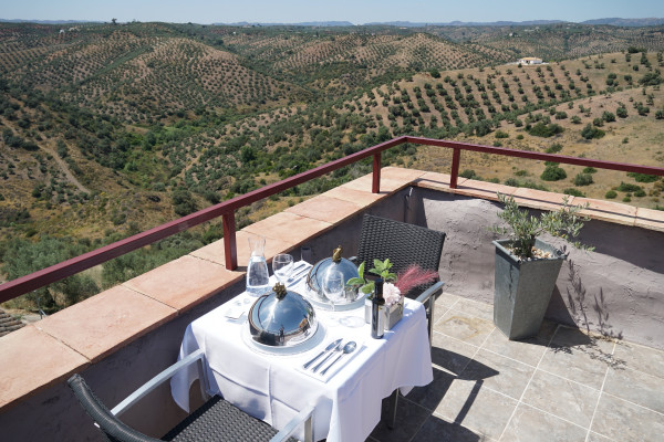 Olivetum Colina Casa Rural/ Guesthouse (Montoro)