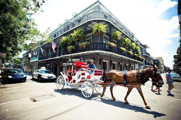 Hotel Royal (New Orleans)