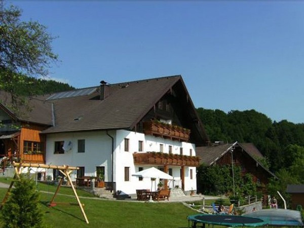 Bauernhof Voischl - Graspointner (Innerschwand am Mondsee)
