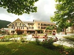 Parc Hotel (Wangenbourg-Engenthal)