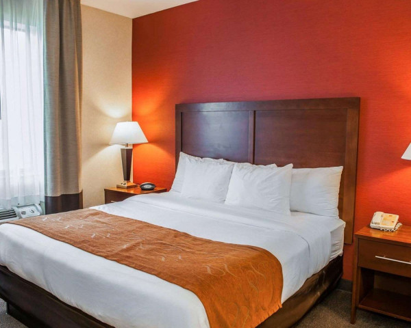 Hotel Comfort Suites NE Indianapolis Fishers (Indianapolis City)