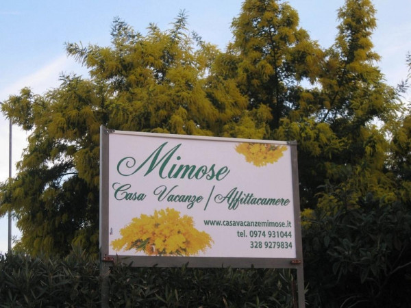 Casa Vacanze Mimose (Centola)