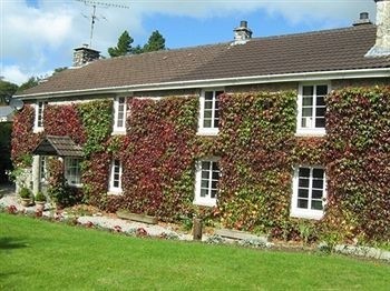 Hotel Ivy Cottage (Cornwall)