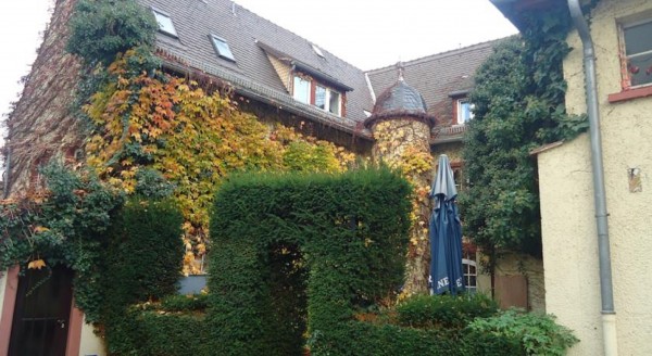 Hotel Burg-Stuben (Mainz)
