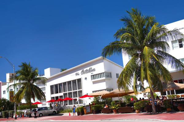 a South Beach Group Hotel Catalina Hotel & Beach Club (Miami Beach)