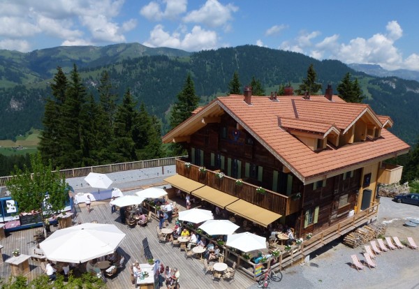 Hotel Rinderberg Swiss Alpine Lodge (Zweisimmen)